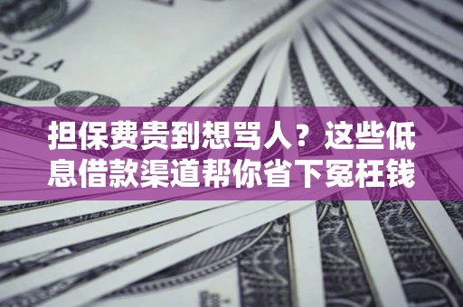 北京担保费贵到想骂人？这些低息借款渠道帮你省下冤枉钱