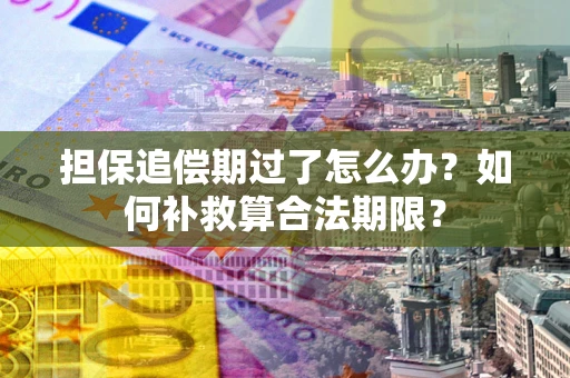 北京担保追偿期过了怎么办？如何补救算合法期限？
